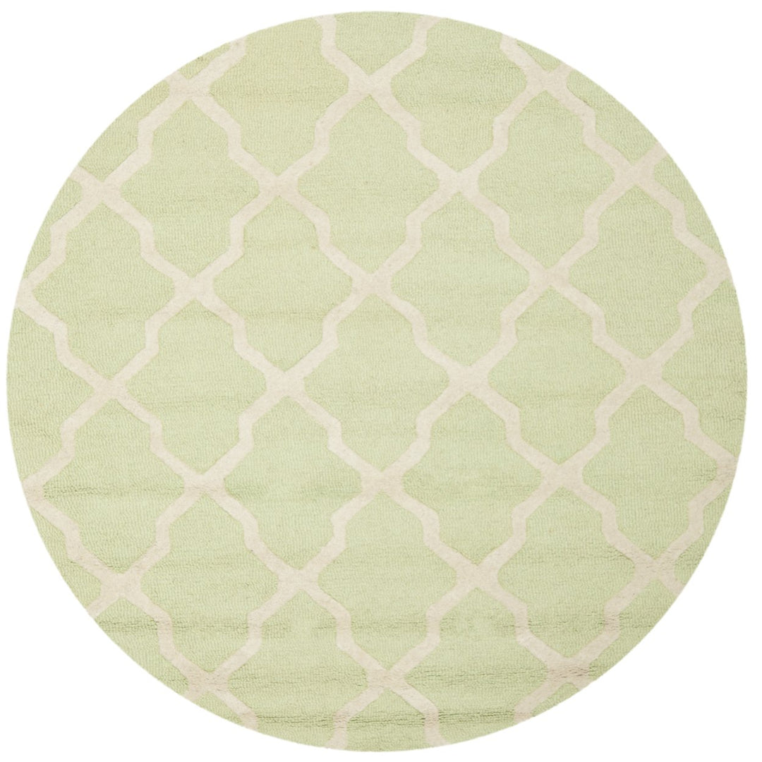 SAFAVIEH Cambridge CAM121B Light Green / Ivory Rug Image 1