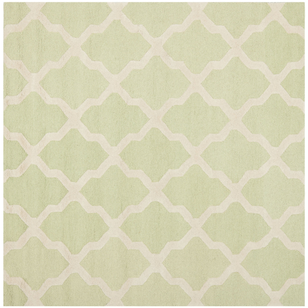 SAFAVIEH Cambridge CAM121B Light Green / Ivory Rug Image 9