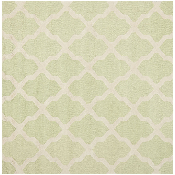 SAFAVIEH Cambridge CAM121B Light Green / Ivory Rug Image 9