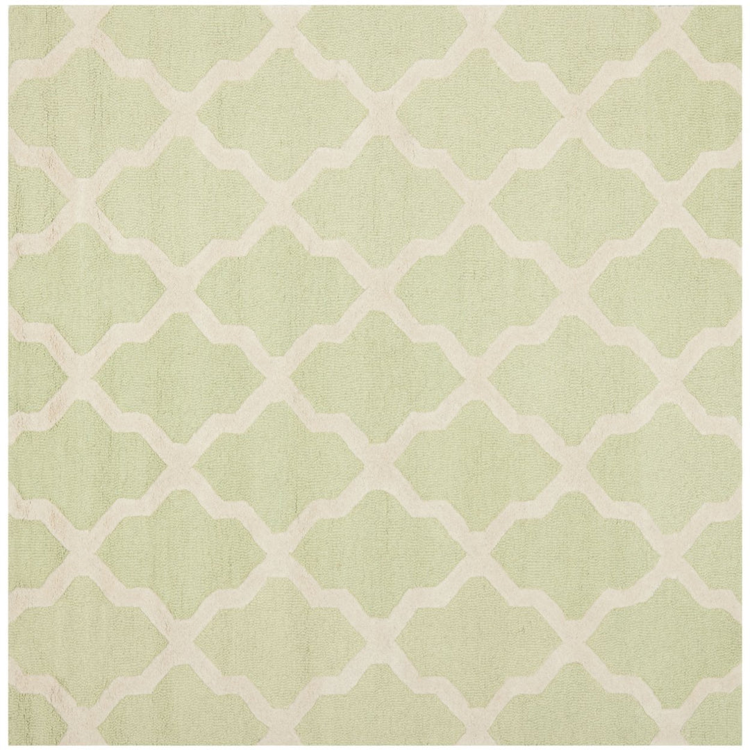 SAFAVIEH Cambridge CAM121B Light Green / Ivory Rug Image 1