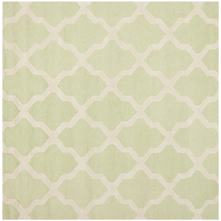 SAFAVIEH Cambridge CAM121B Light Green / Ivory Rug Image 1