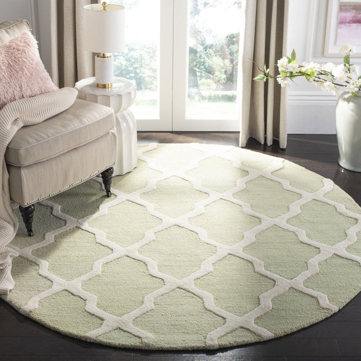 SAFAVIEH Cambridge CAM121B Light Green / Ivory Rug Image 10