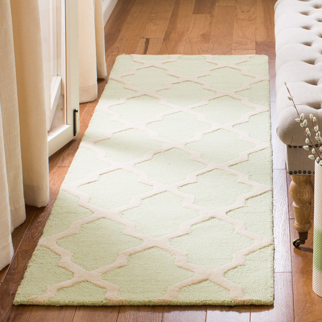 SAFAVIEH Cambridge CAM121B Light Green / Ivory Rug Image 11