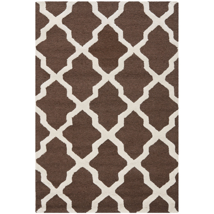 SAFAVIEH Cambridge CAM121H Dark Brown / Ivory Rug Image 5