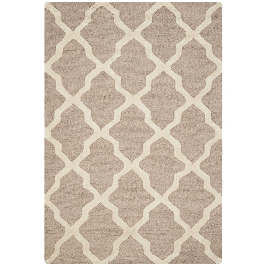 SAFAVIEH Cambridge CAM121J Handmade Beige / Ivory Rug Image 7