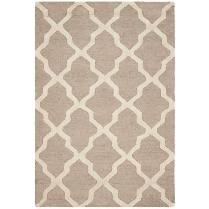 SAFAVIEH Cambridge CAM121J Handmade Beige / Ivory Rug Image 1