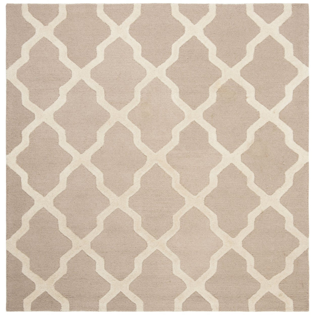 SAFAVIEH Cambridge CAM121J Handmade Beige / Ivory Rug Image 8