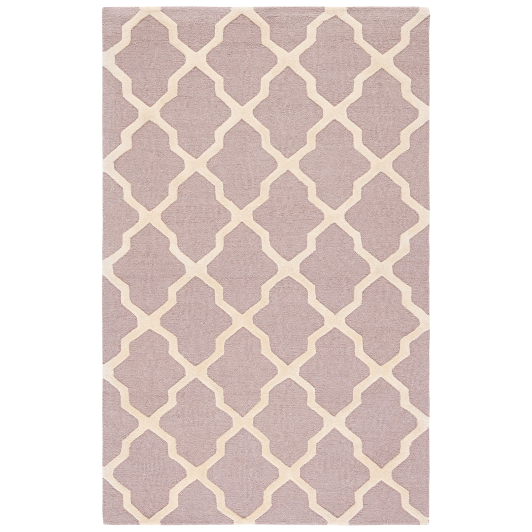 SAFAVIEH Cambridge CAM121J Handmade Beige / Ivory Rug Image 9