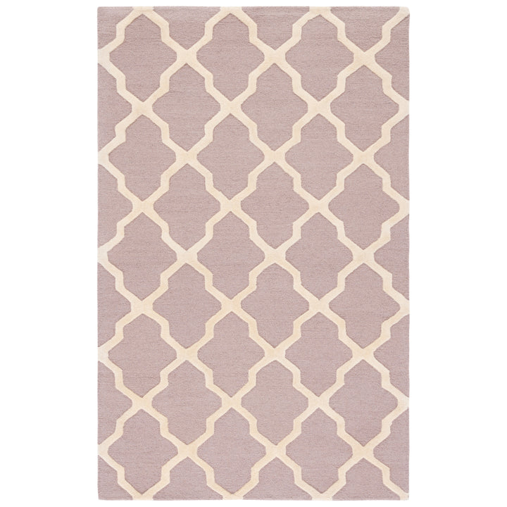 SAFAVIEH Cambridge CAM121J Handmade Beige / Ivory Rug Image 9