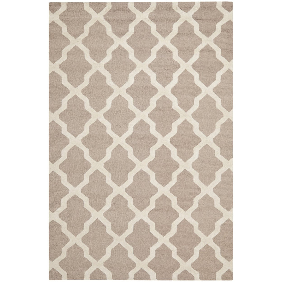 SAFAVIEH Cambridge CAM121J Handmade Beige / Ivory Rug Image 10