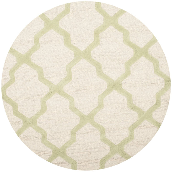 SAFAVIEH Cambridge CAM121N Ivory / Light Green Rug Image 7