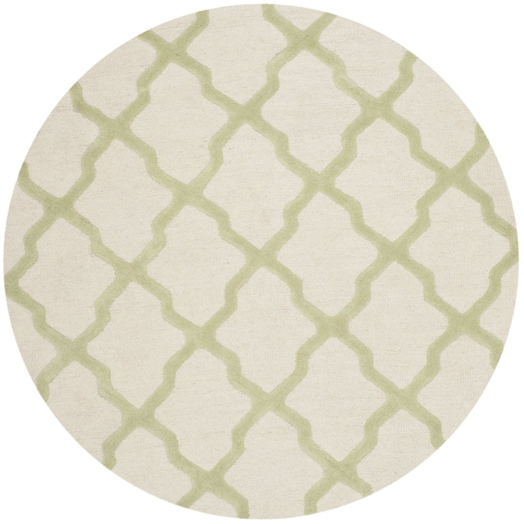 SAFAVIEH Cambridge CAM121N Ivory / Light Green Rug Image 9