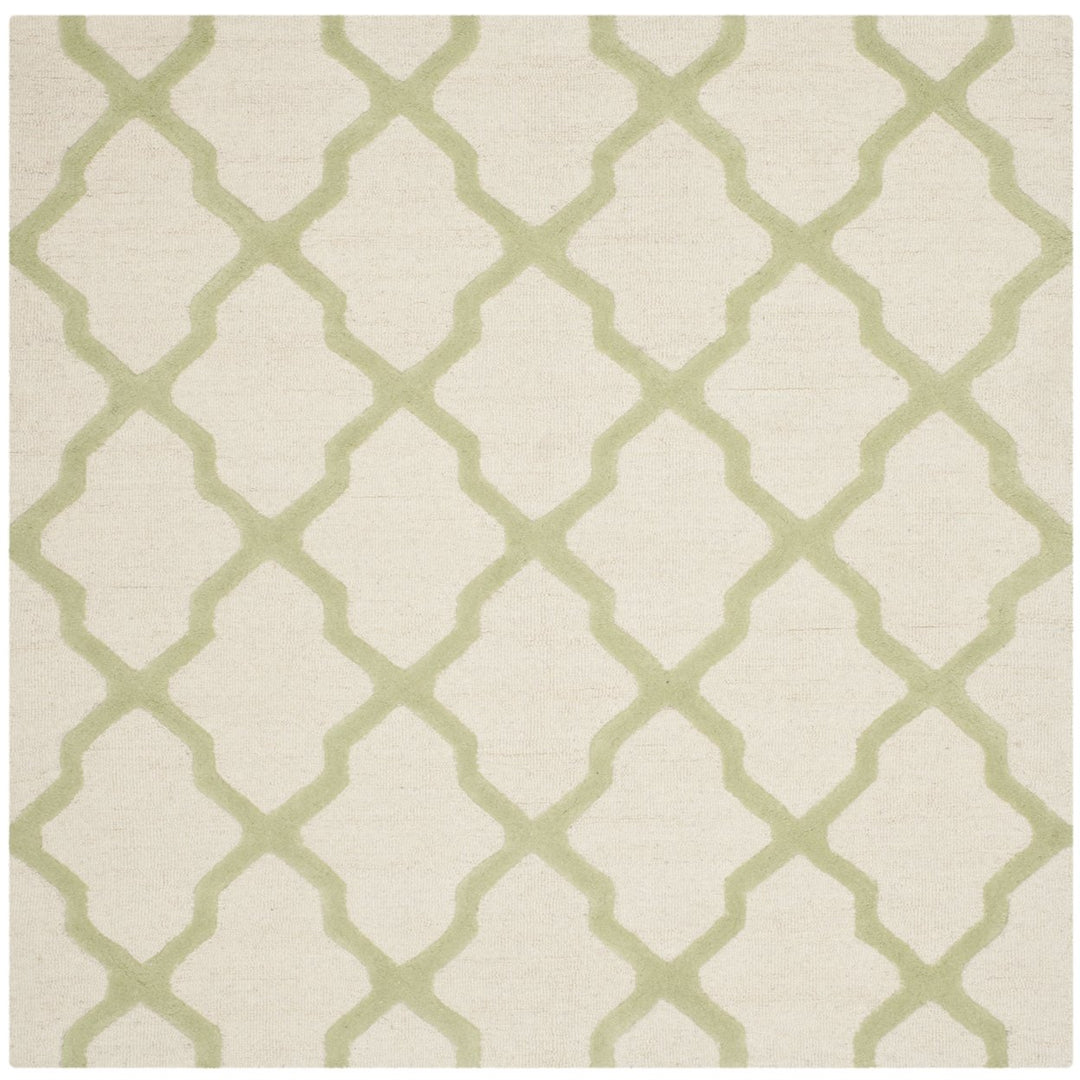 SAFAVIEH Cambridge CAM121N Ivory / Light Green Rug Image 10