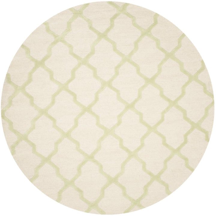 SAFAVIEH Cambridge CAM121N Ivory / Light Green Rug Image 11