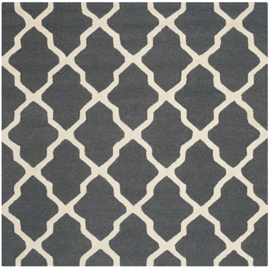 SAFAVIEH Cambridge CAM121X Dark Grey / Ivory Rug Image 6