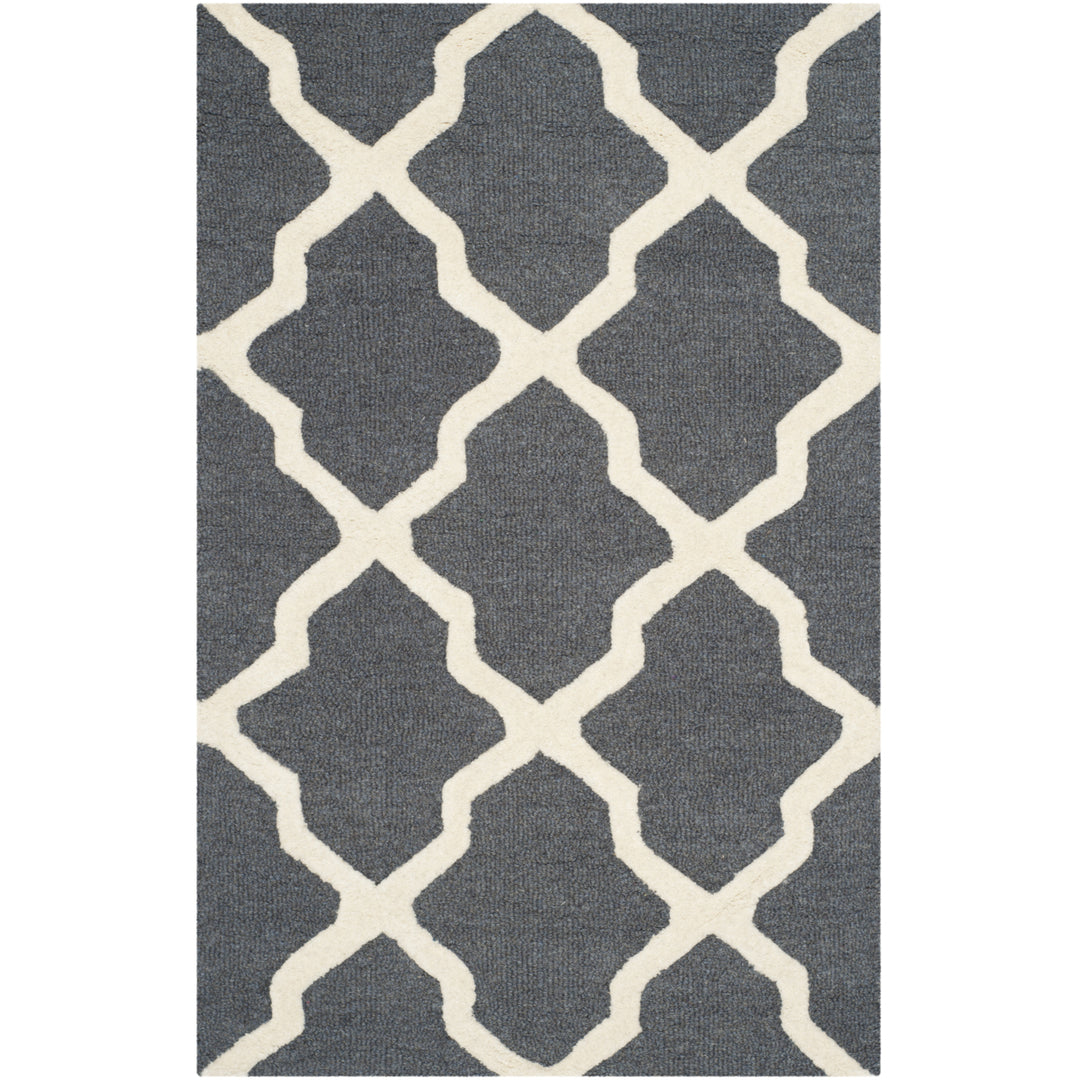 SAFAVIEH Cambridge CAM121X Dark Grey / Ivory Rug Image 9