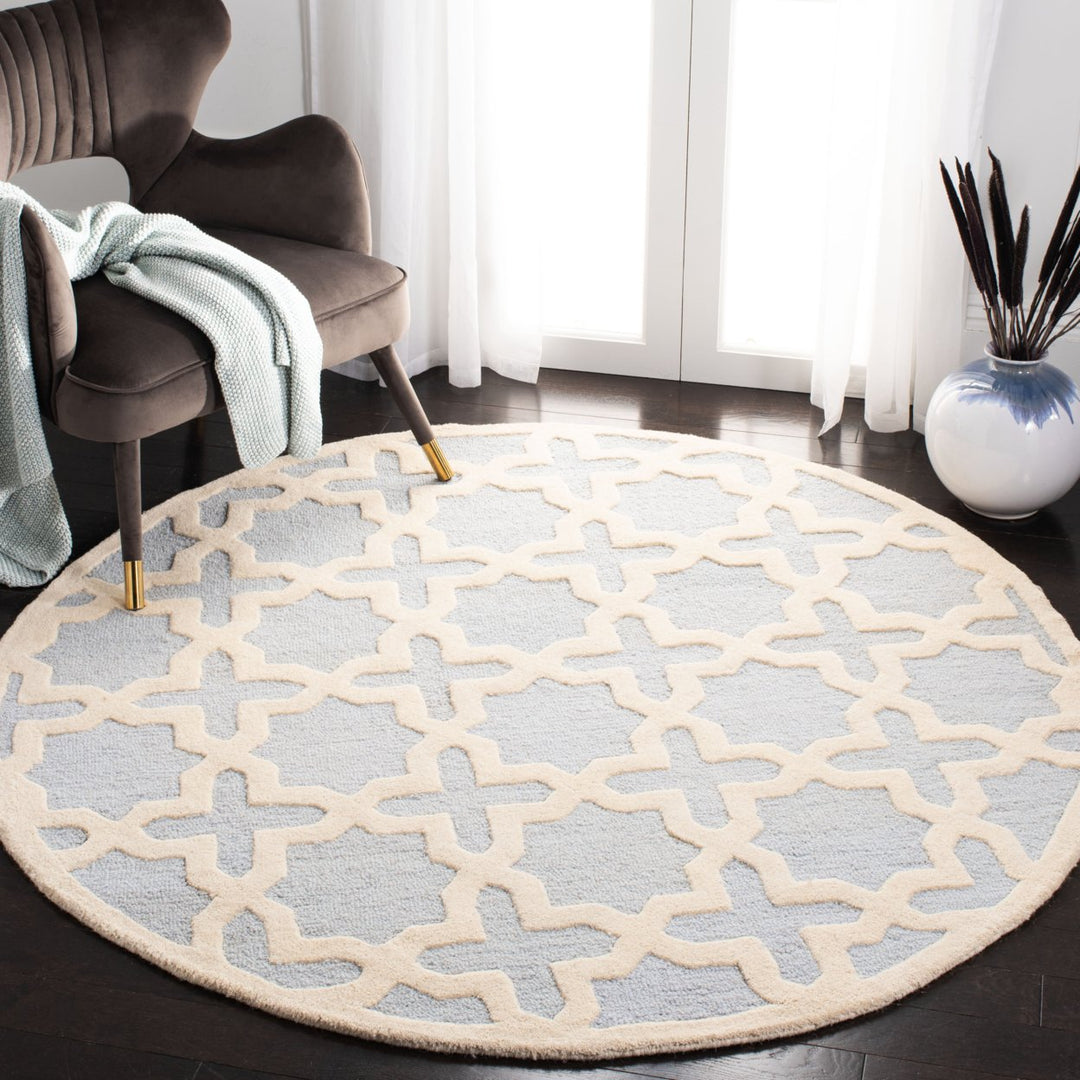 SAFAVIEH Cambridge CAM125A Light Blue / Ivory Rug Image 2