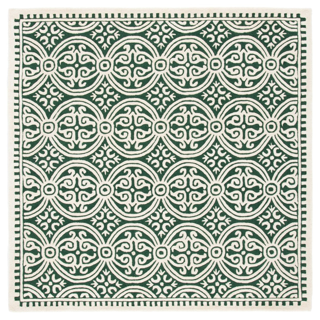 SAFAVIEH Cambridge CAM123Y Dark Green / Ivory Rug Image 6