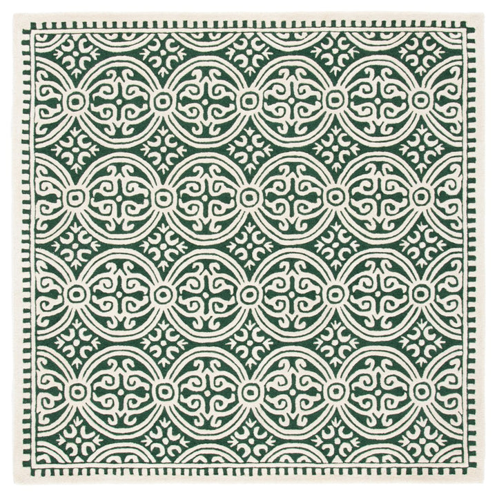 SAFAVIEH Cambridge CAM123Y Dark Green / Ivory Rug Image 6