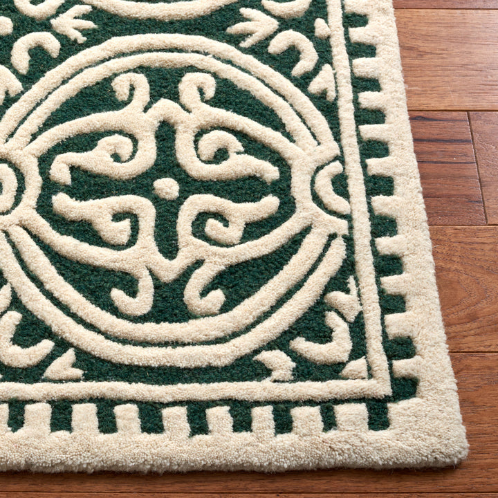 SAFAVIEH Cambridge CAM123Y Dark Green / Ivory Rug Image 7