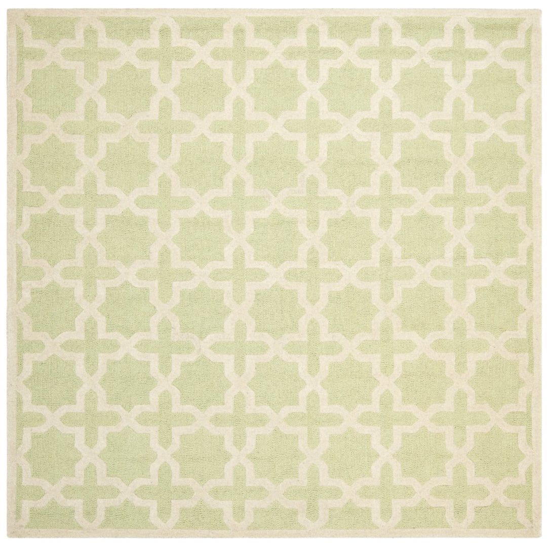 SAFAVIEH Cambridge CAM125B Light Green / Ivory Rug Image 5