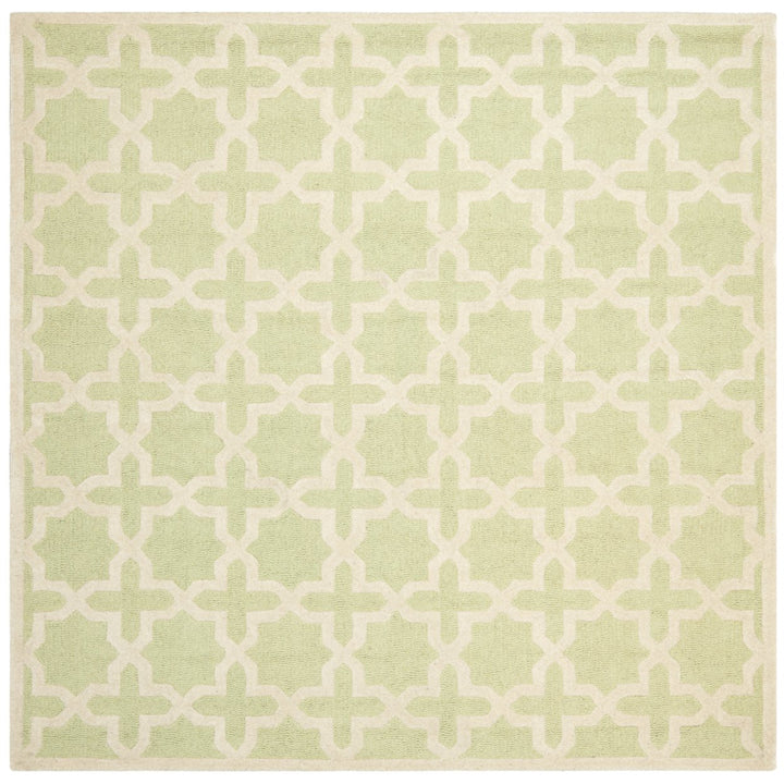 SAFAVIEH Cambridge CAM125B Light Green / Ivory Rug Image 5