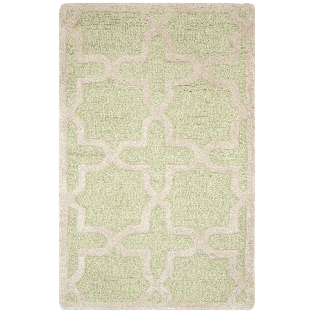 SAFAVIEH Cambridge CAM125B Light Green / Ivory Rug Image 8