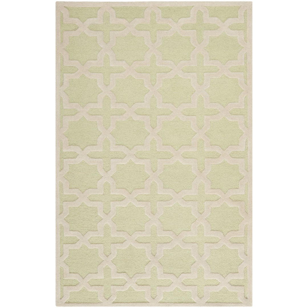 SAFAVIEH Cambridge CAM125B Light Green / Ivory Rug Image 9