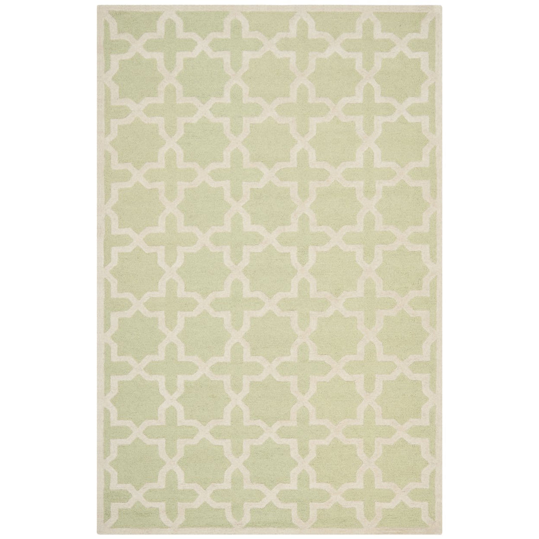 SAFAVIEH Cambridge CAM125B Light Green / Ivory Rug Image 10