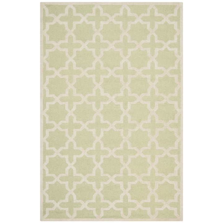 SAFAVIEH Cambridge CAM125B Light Green / Ivory Rug Image 10