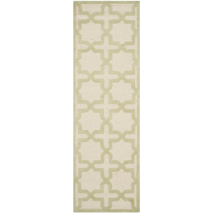 SAFAVIEH Cambridge CAM125N Ivory / Light Green Rug Image 5