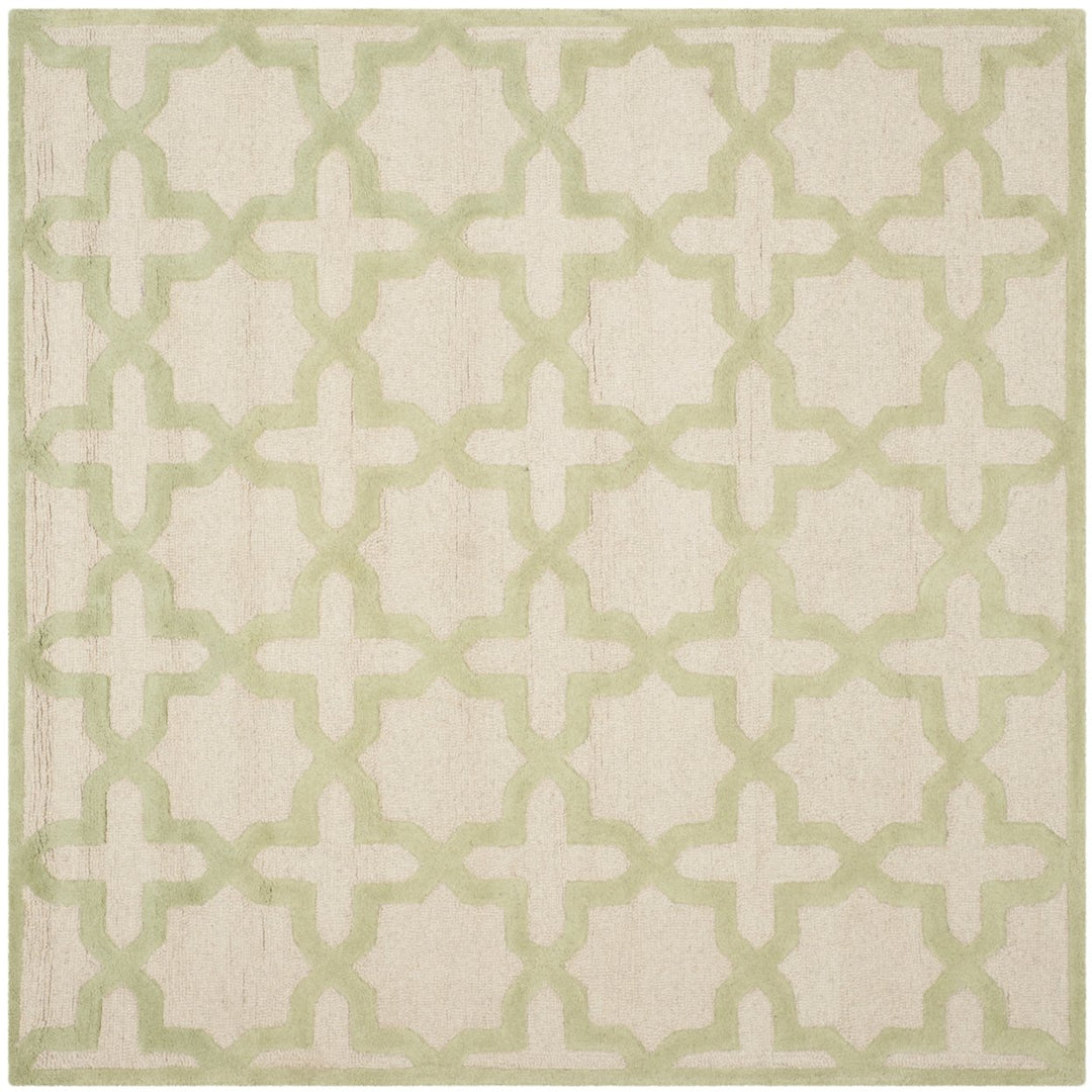 SAFAVIEH Cambridge CAM125N Ivory / Light Green Rug Image 6