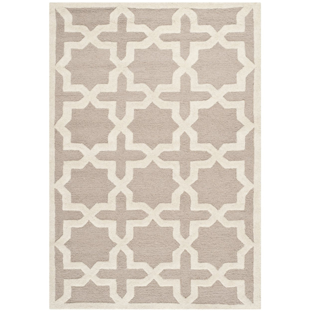 SAFAVIEH Cambridge CAM125J Handmade Beige / Ivory Rug Image 8