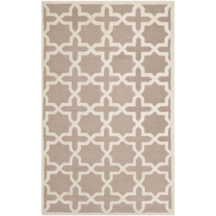 SAFAVIEH Cambridge CAM125J Handmade Beige / Ivory Rug Image 10