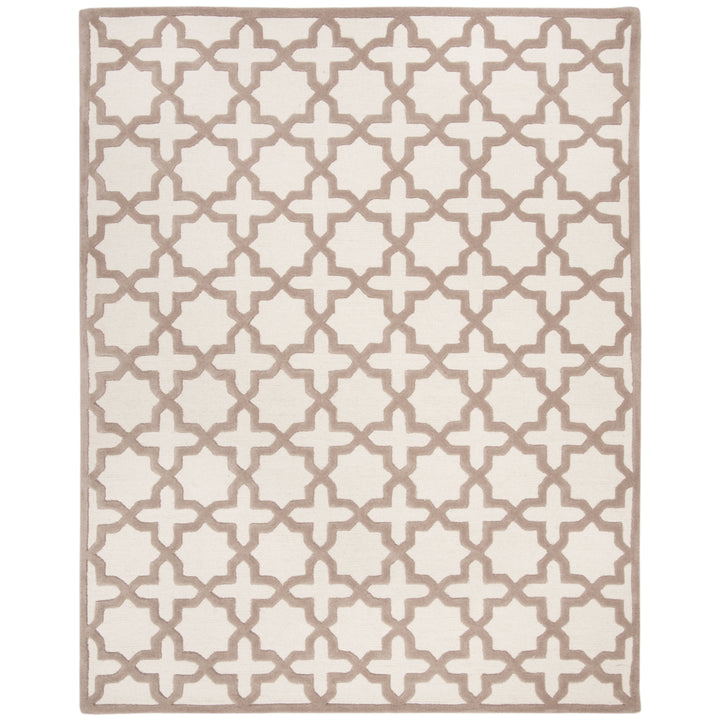 SAFAVIEH Cambridge CAM125P Handmade Ivory / Beige Rug Image 1