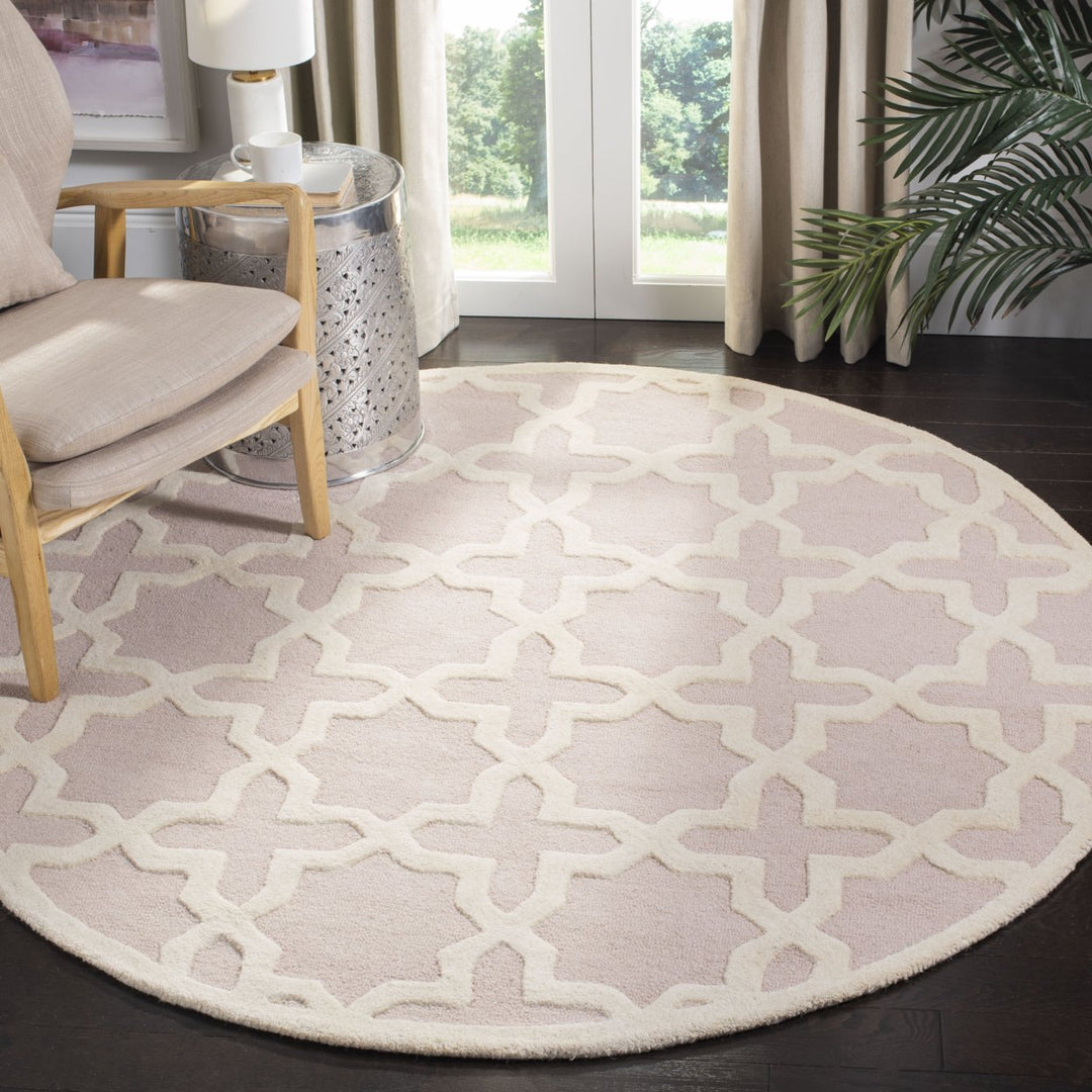 SAFAVIEH Cambridge CAM125M Light Pink / Ivory Rug Image 10