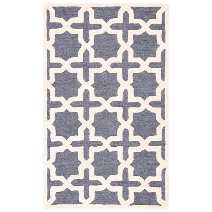 SAFAVIEH Cambridge CAM125X Dark Grey / Ivory Rug Image 9