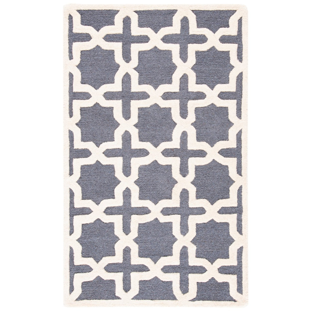 SAFAVIEH Cambridge CAM125X Dark Grey / Ivory Rug Image 1