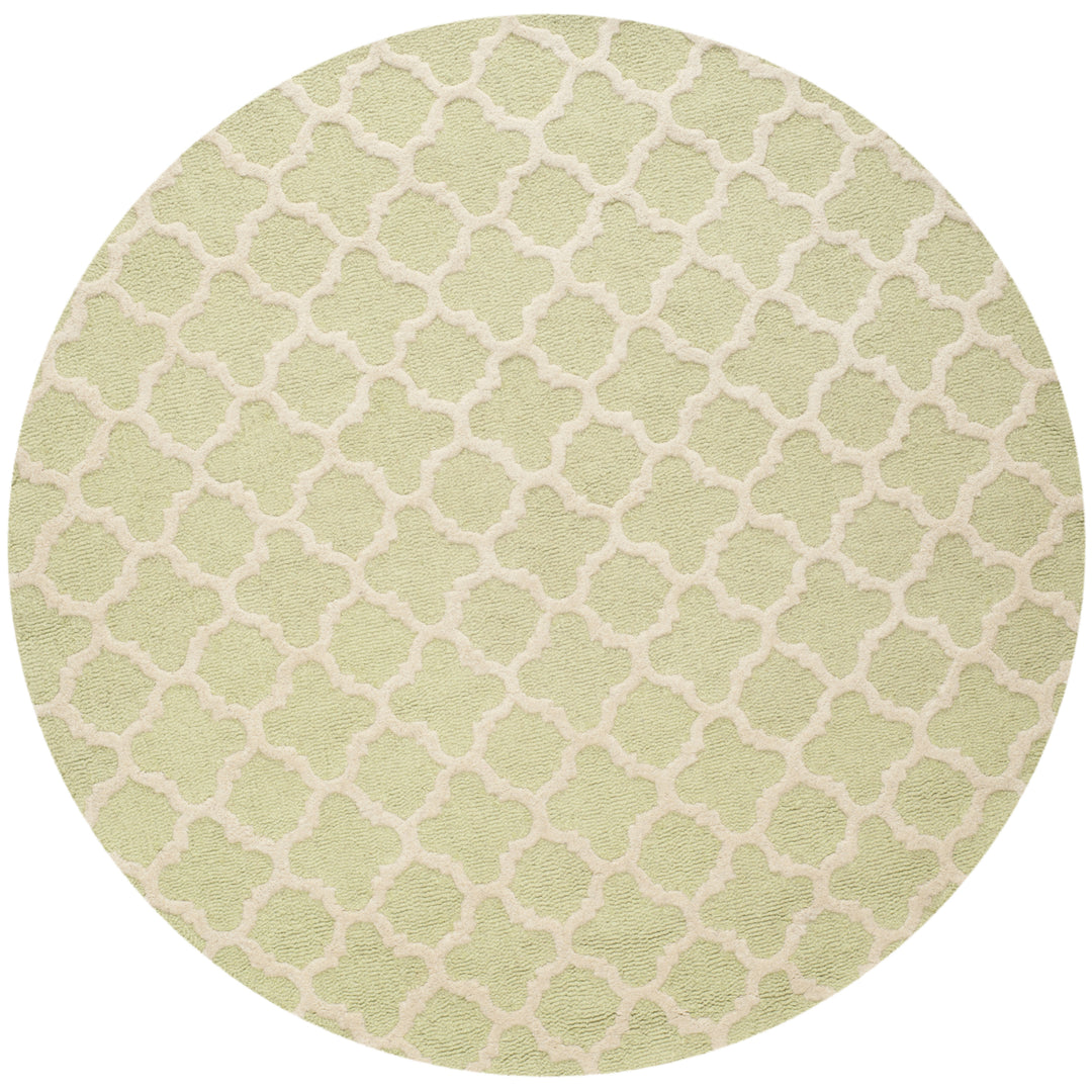 SAFAVIEH Cambridge CAM130B Light Green / Ivory Rug Image 4