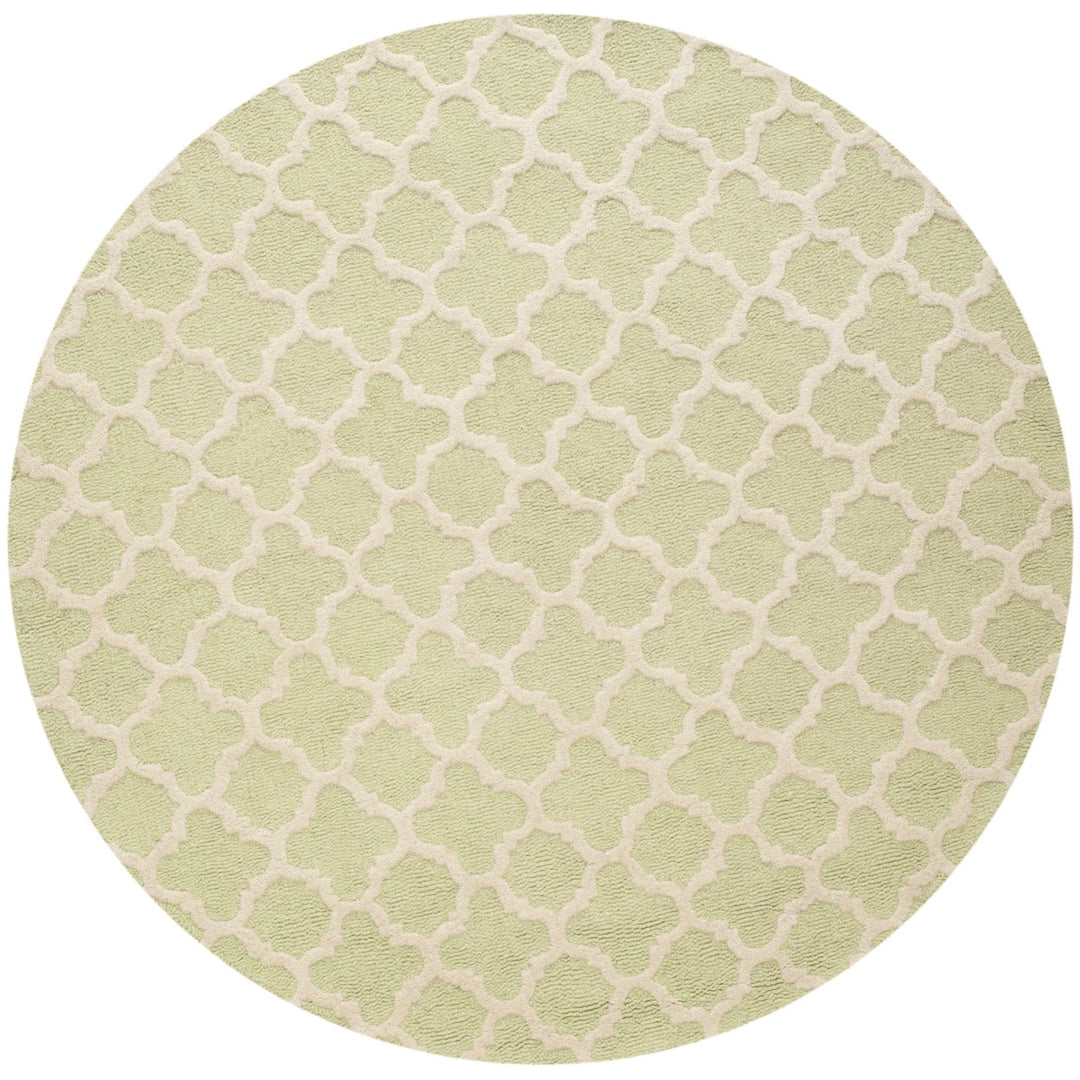 SAFAVIEH Cambridge CAM130B Light Green / Ivory Rug Image 1