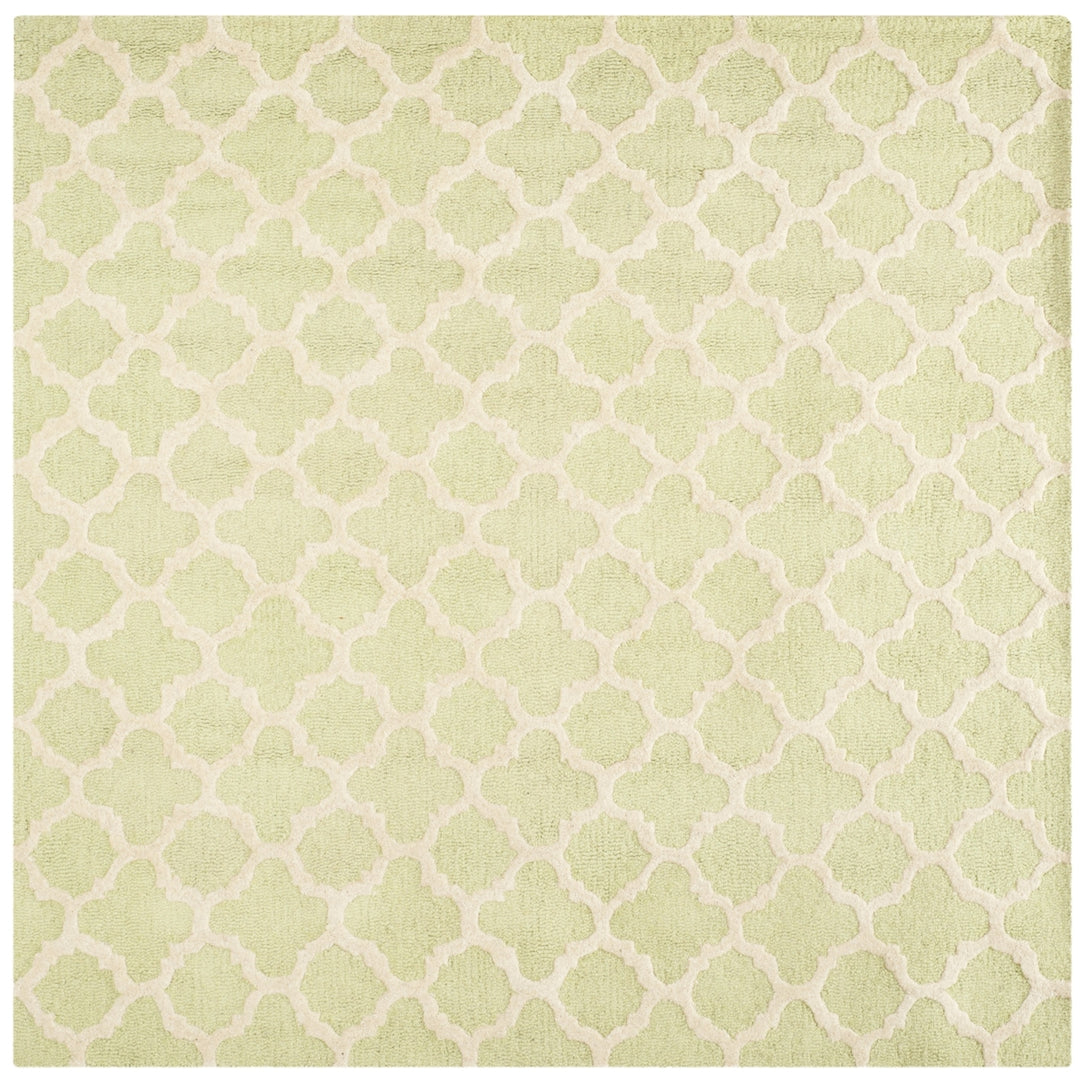 SAFAVIEH Cambridge CAM130B Light Green / Ivory Rug Image 6