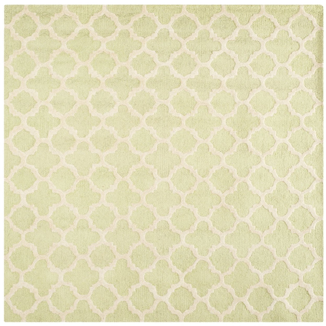 SAFAVIEH Cambridge CAM130B Light Green / Ivory Rug Image 1