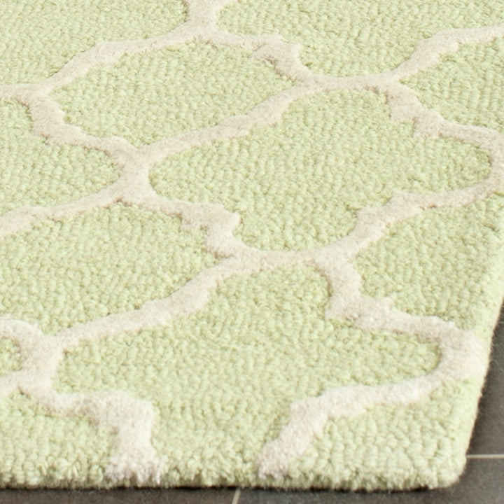 SAFAVIEH Cambridge CAM130B Light Green / Ivory Rug Image 7