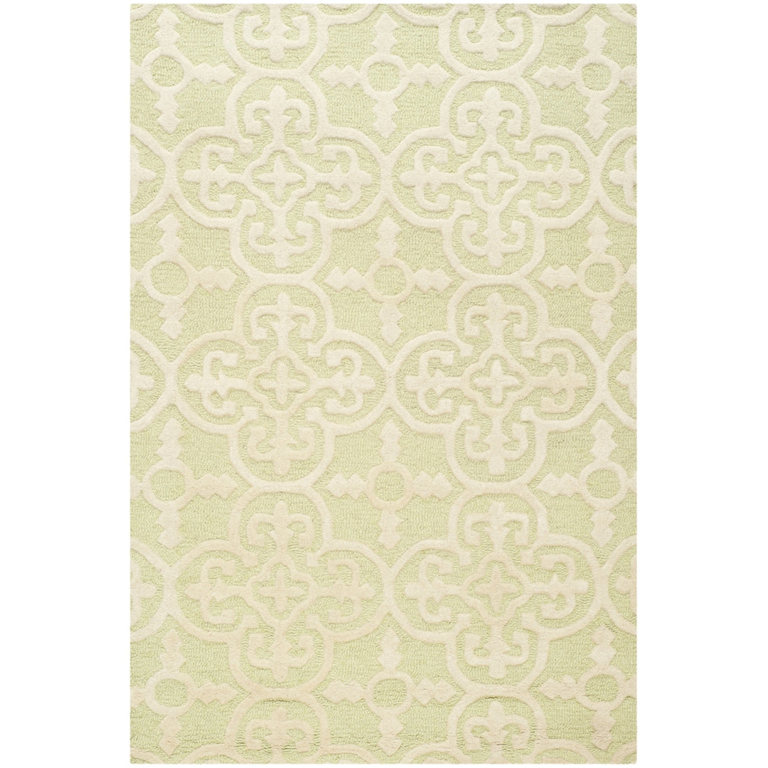 SAFAVIEH Cambridge CAM130B Light Green / Ivory Rug Image 8