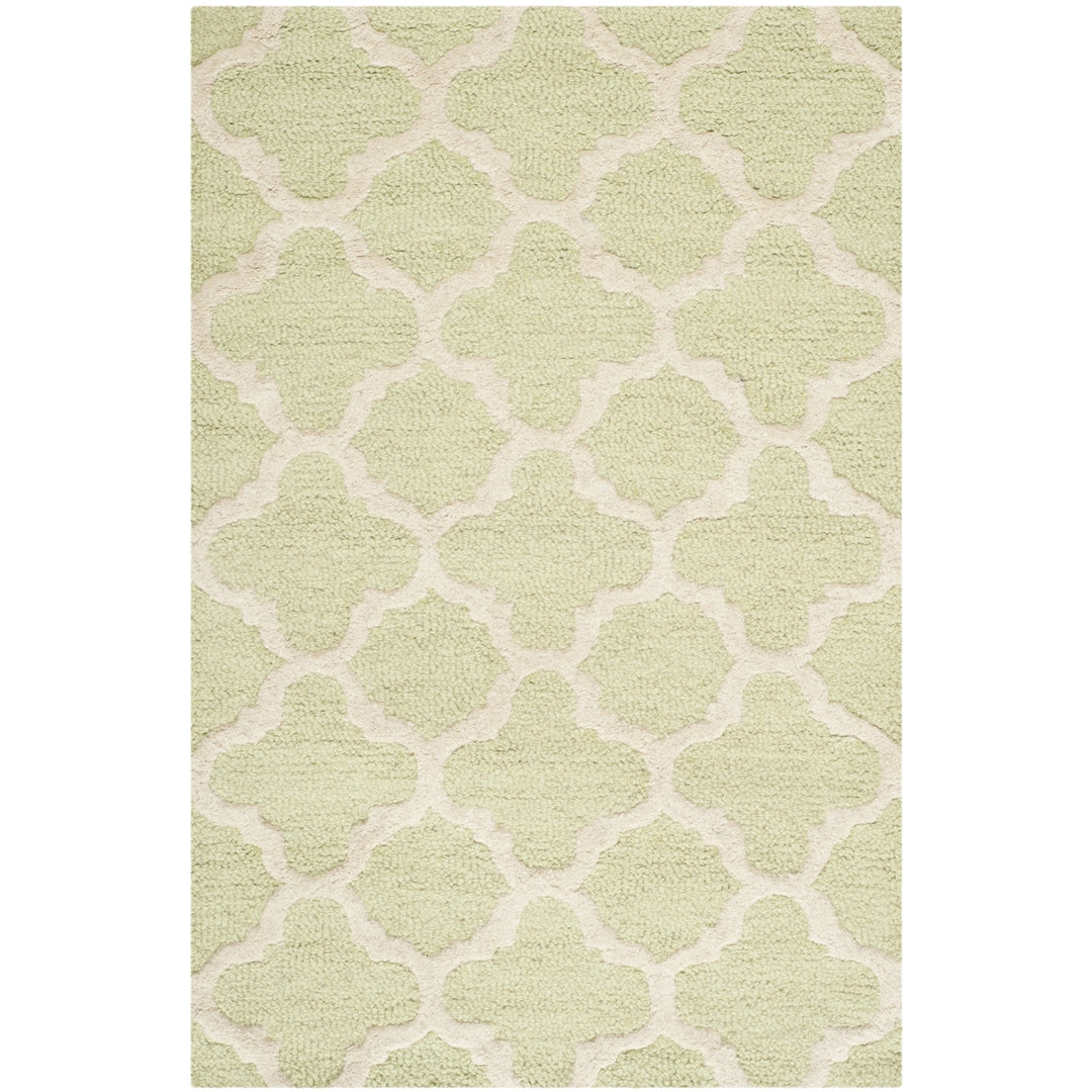 SAFAVIEH Cambridge CAM130B Light Green / Ivory Rug Image 9