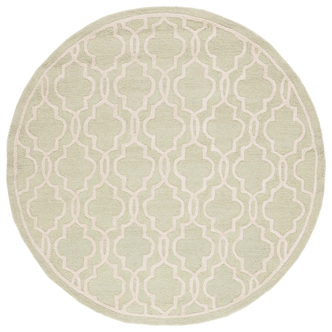 SAFAVIEH Cambridge CAM131B Light Green / Ivory Rug Image 4