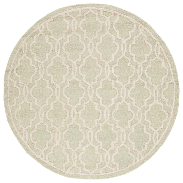 SAFAVIEH Cambridge CAM131B Light Green / Ivory Rug Image 4