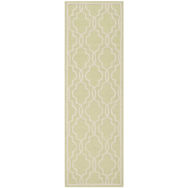 SAFAVIEH Cambridge CAM131B Light Green / Ivory Rug Image 5