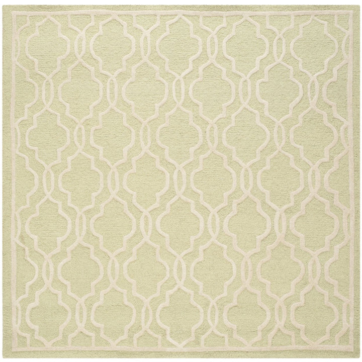 SAFAVIEH Cambridge CAM131B Light Green / Ivory Rug Image 6