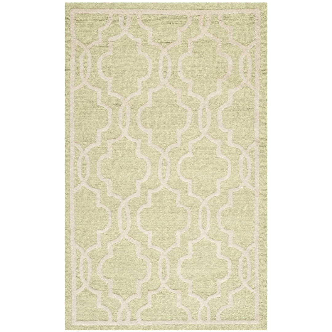 SAFAVIEH Cambridge CAM131B Light Green / Ivory Rug Image 8